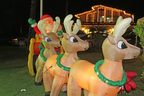 reindeer Christmas decoration