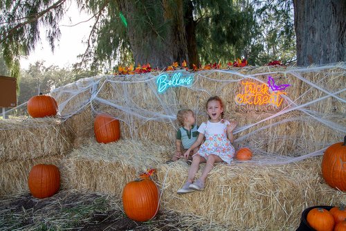 two children in clothing sitting on hay bales<br />
