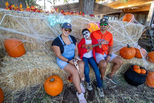 a group of people sitting on hay with pumpkins<br />
