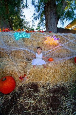 a kid sitting</p>
<p>on hay with pumpkins