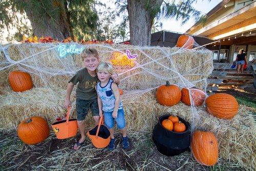 two children standing in front of pumpkins