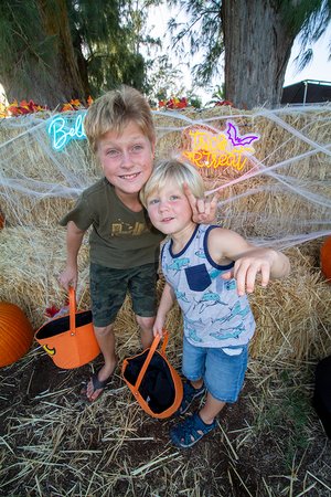 two children standing in front of pumpkins