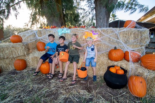 children standing in front of pumpkins