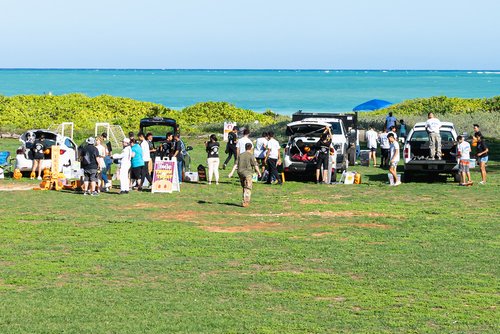 a group of people standing in a field with cars and people standing in the grass