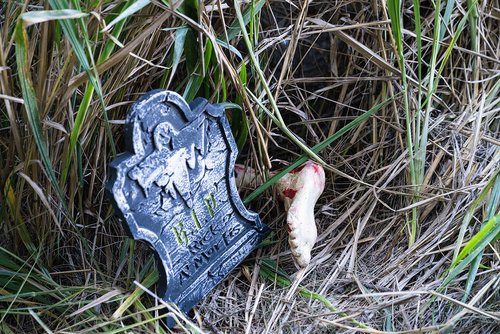 a tombstone in the grass