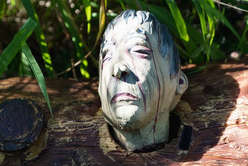 a statue of a person's head in a tree stump