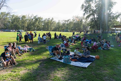 a group of people sitting on a grass