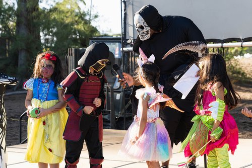 group of children in the stage 