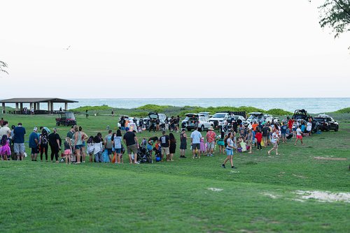 a group of people in a park 