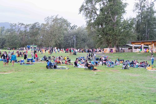 a group of people in a park 