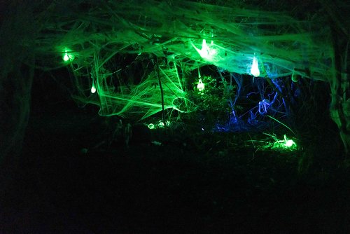 a spider web with lights at night<br />
