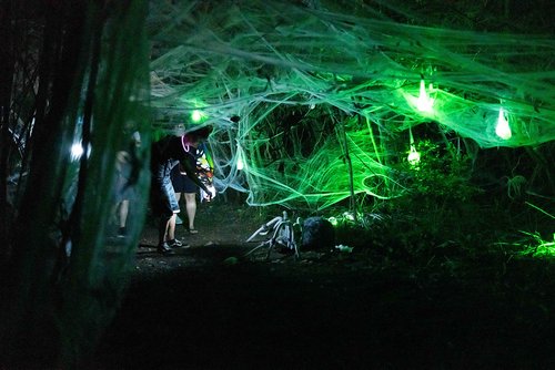 a spider web with lights at night<br />
