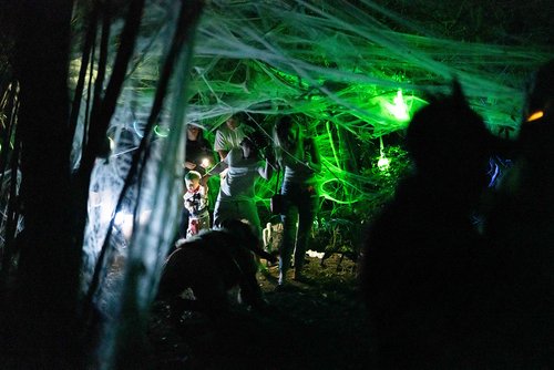 a group of people in a forest with a spider web<br />
