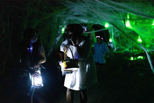 a group of people in a forest with a spider web<br />
