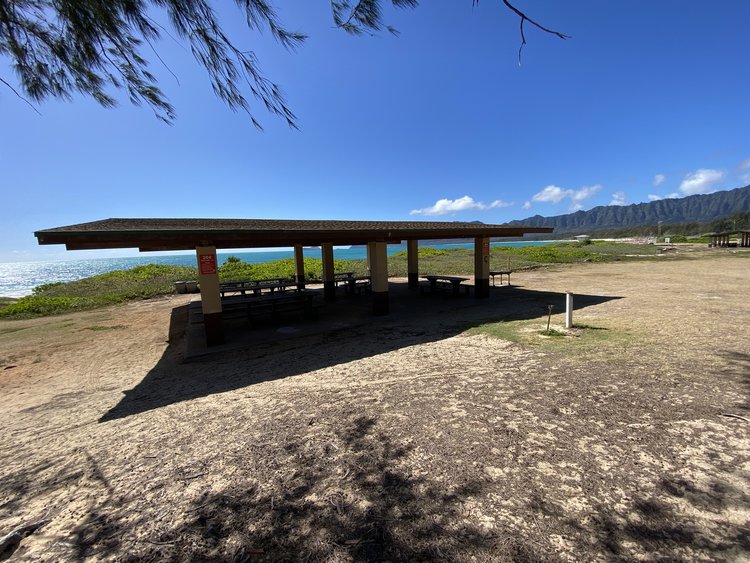 a picnic area with a shelter and trees