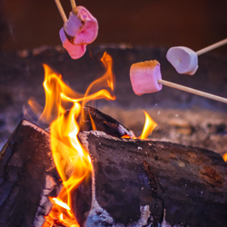 mallows in the fire