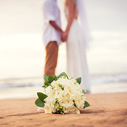 an image of a white flower with a couple holding hands in the back