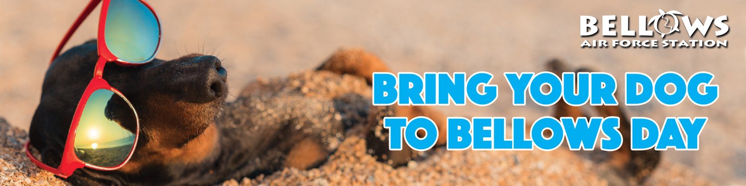 a pile of sand with blue text<br />
