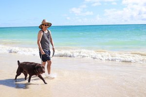 a person walking a dog on a beach<br />
