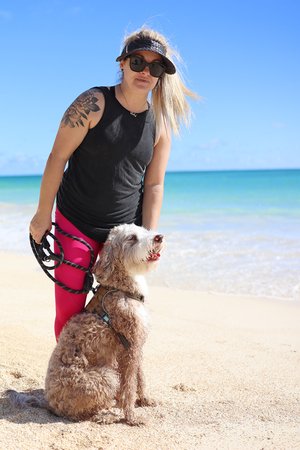 a person walking a dog on a beach<br />
