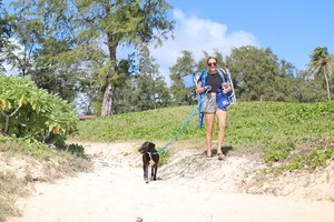 a person walking a dog on a leash<br />
