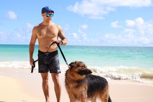 a person walking dogs on a beach<br />
