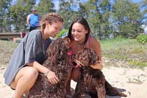 two women sitting with their dogs