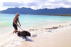 a person walking a dog on a beach<br />
