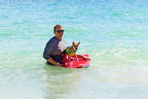 a person and dog in water<br />
