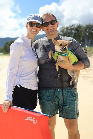 a person and person holding a dog on a beach<br />
