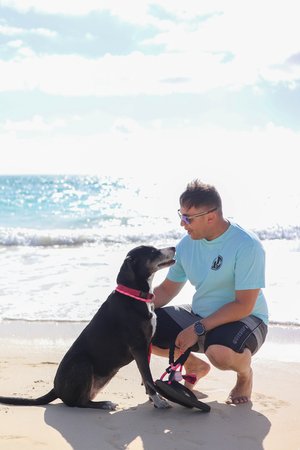 a person kneeling on a beach with a dog<br />
