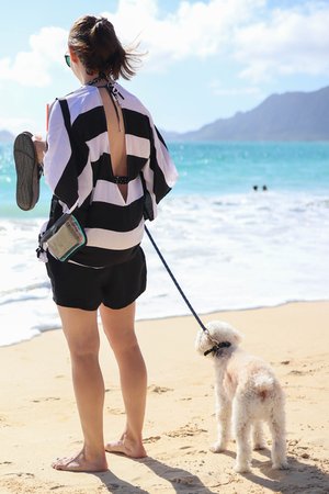 a person and a dog on a beach<br />
