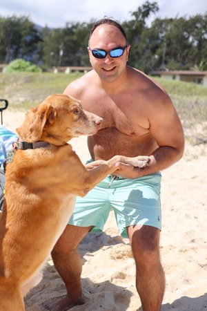 a person with a dog on a beach<br />
