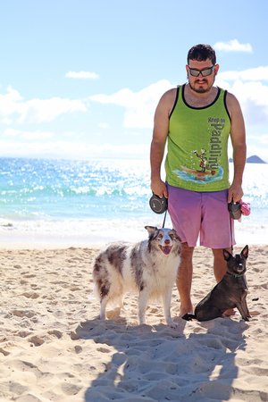 a person walking a dog on a beach