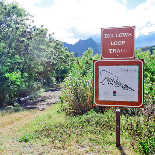 a loop trail