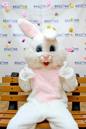  a person in a bunny garment<br />
