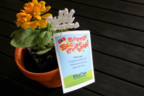 a yellow flower in a pot with a card on it<br />
