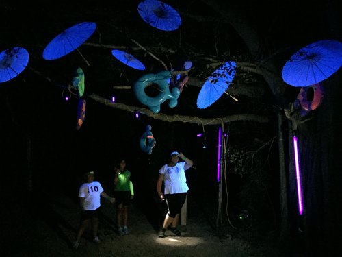 people standing under a tree with blue umbrellas<br />
