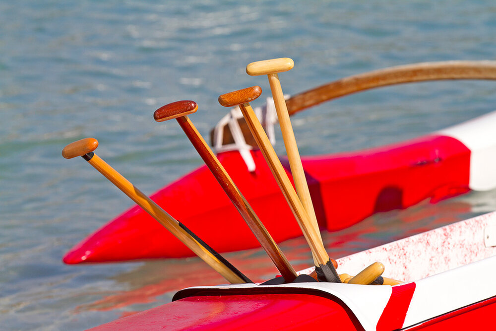 paddle paddles in a canoe