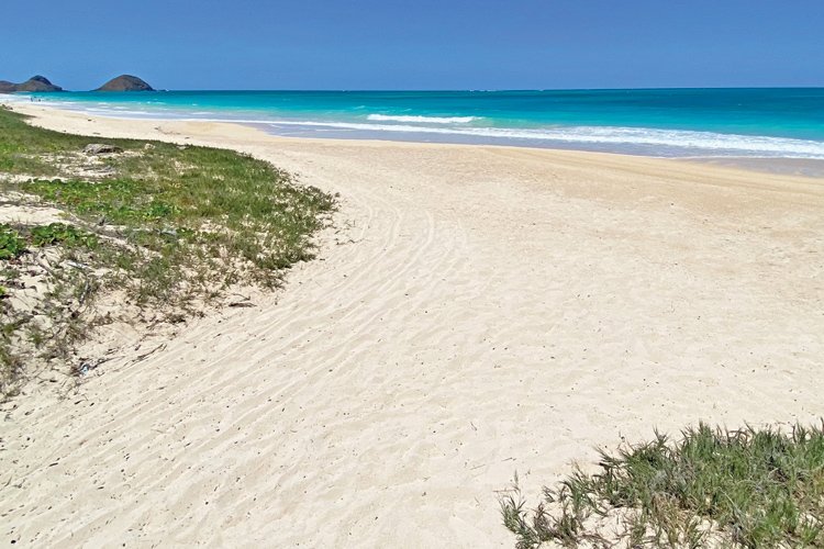 a sandy beach with grass and blue water