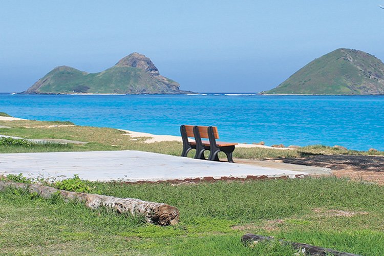 a bench overlooking a body of water