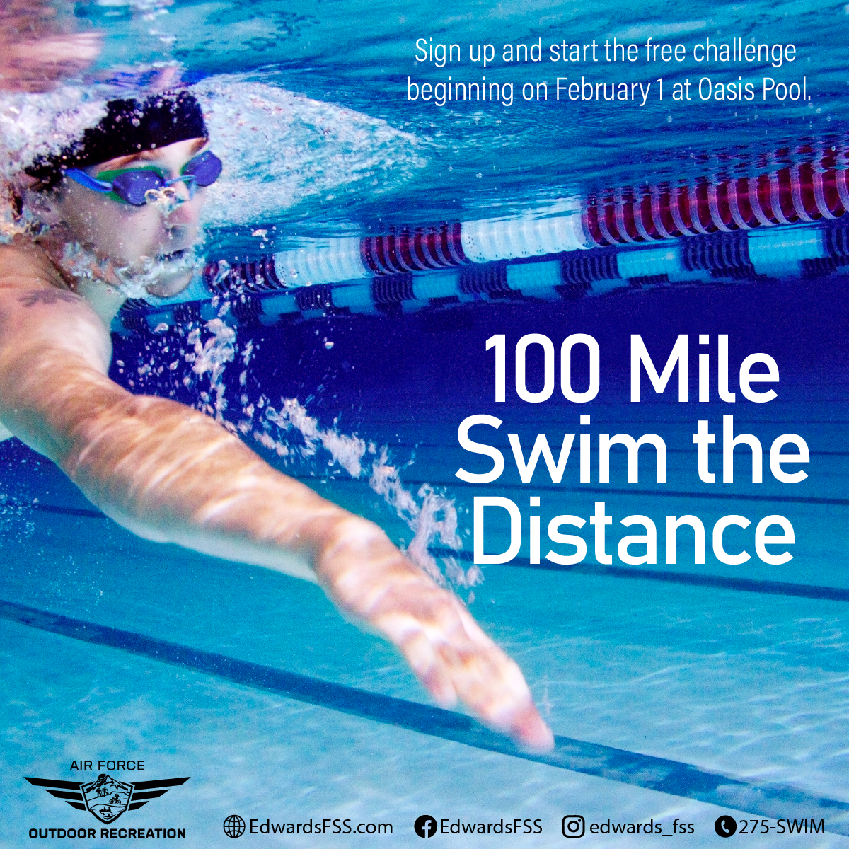 100 Mile Swim the Distance