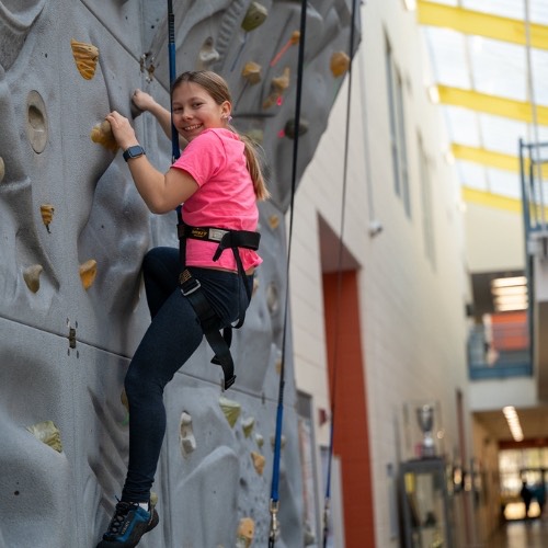 Rockclimbing Wall