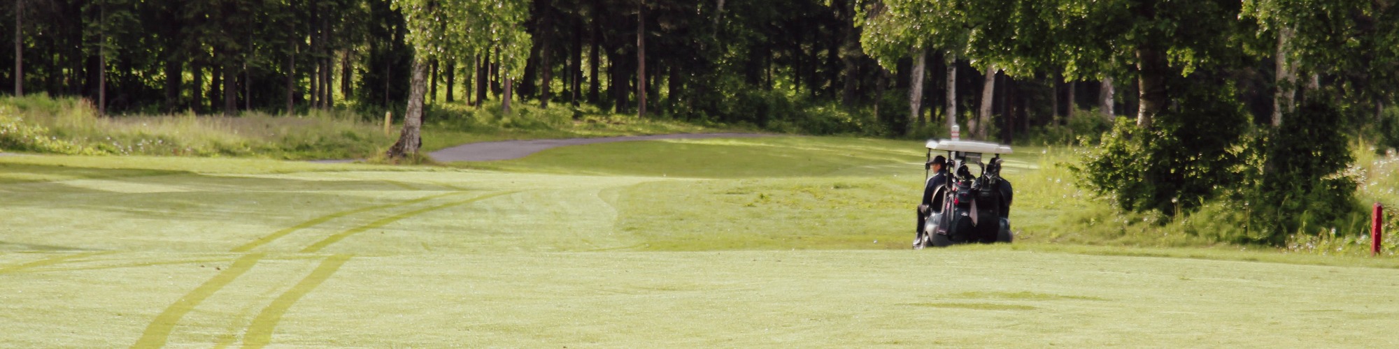 People Riding on a Buggy on a Golf Course