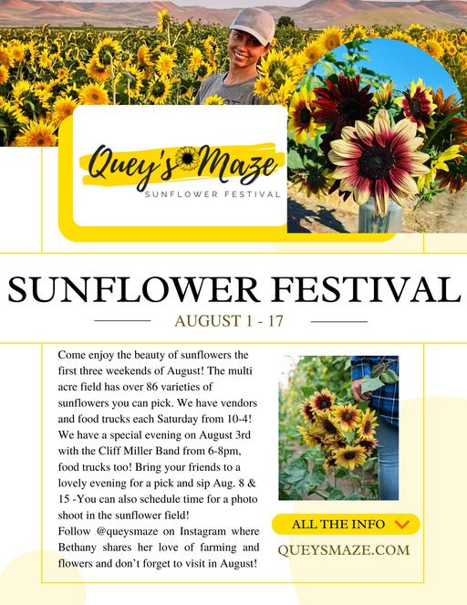 Quey's Sunflower Festival